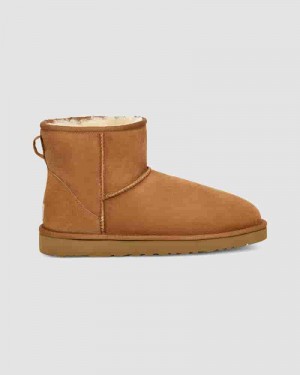 UGG Classic Mini Muške Cizme Smeđe | HRA8622H