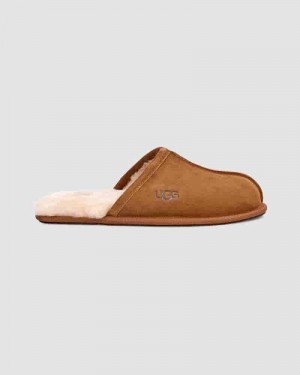 UGG Scuff Muške Papuce Smeđe | HRT8585C