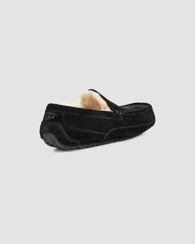 UGG Ascot Muške Papuce Crne | HRU8587Z