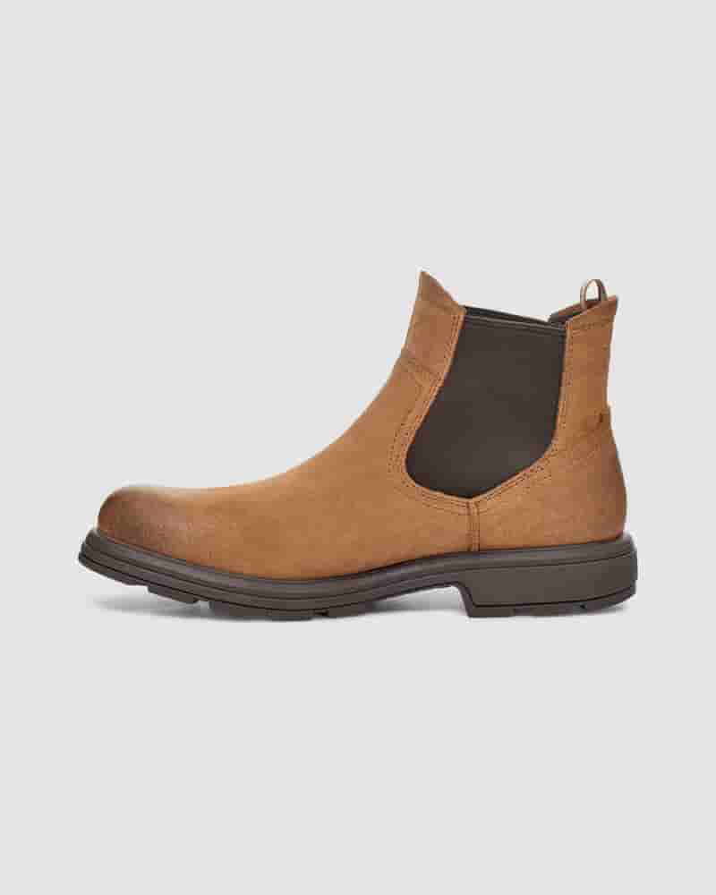 UGG Biltmore Chelsea Muške Cizme Smeđe | HRD8620F