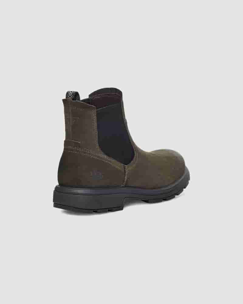 UGG Biltmore Chelsea Muške Cizme Tamno Maslinasto Zelene | HRF8619D