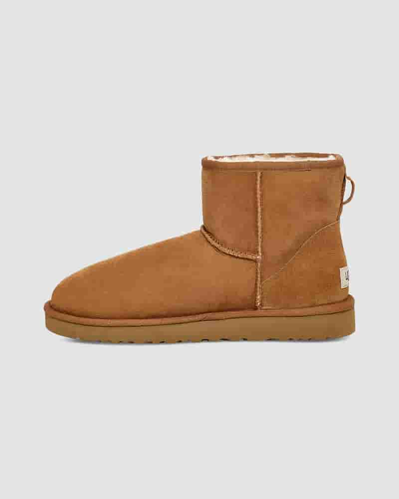 UGG Classic Mini Muške Cizme Smeđe | HRA8622H