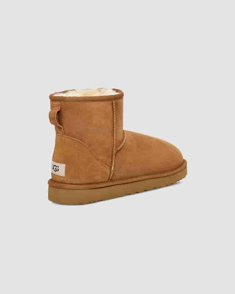 UGG Classic Mini Muške Cizme Smeđe | HRA8622H