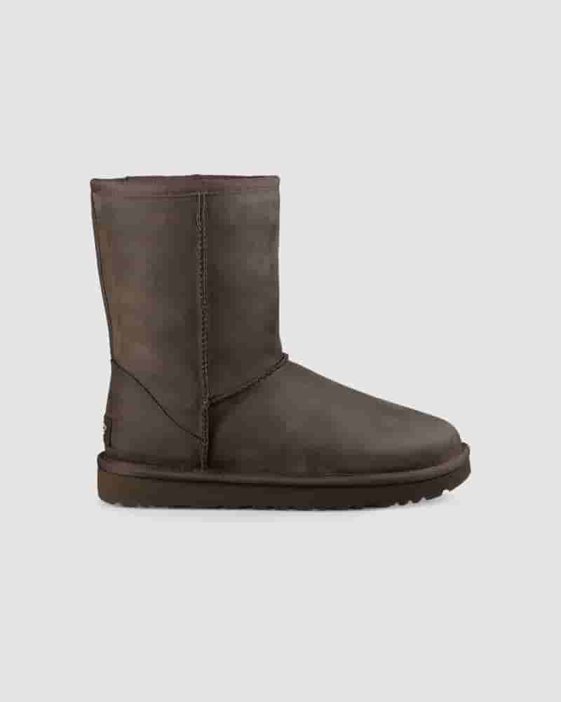 UGG Classic Short Leather Ženske Cizme Čokoladne | HRB8713E