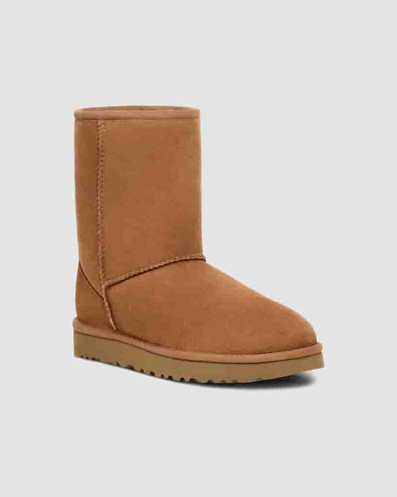 UGG Classic Short Muške Cizme Smeđe | HRH8617A