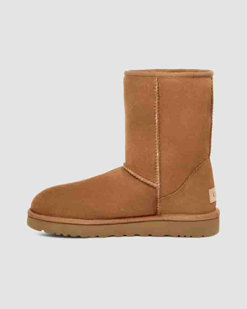 UGG Classic Short Muške Cizme Smeđe | HRH8617A