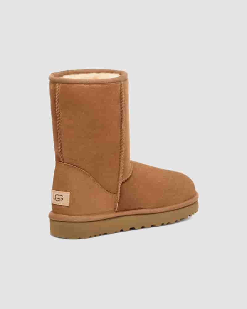 UGG Classic Short Muške Cizme Smeđe | HRH8617A