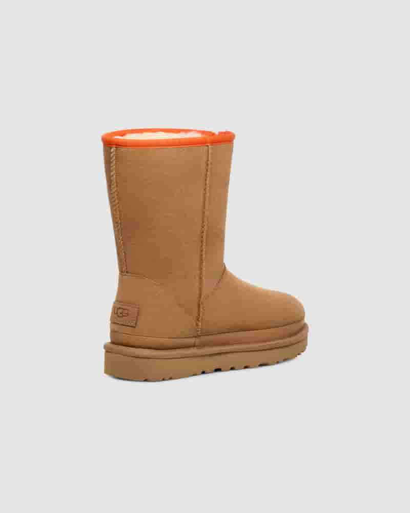 UGG Classic Short Zipper Tape Logo Ženske Cizme Smeđe | HRV8714R