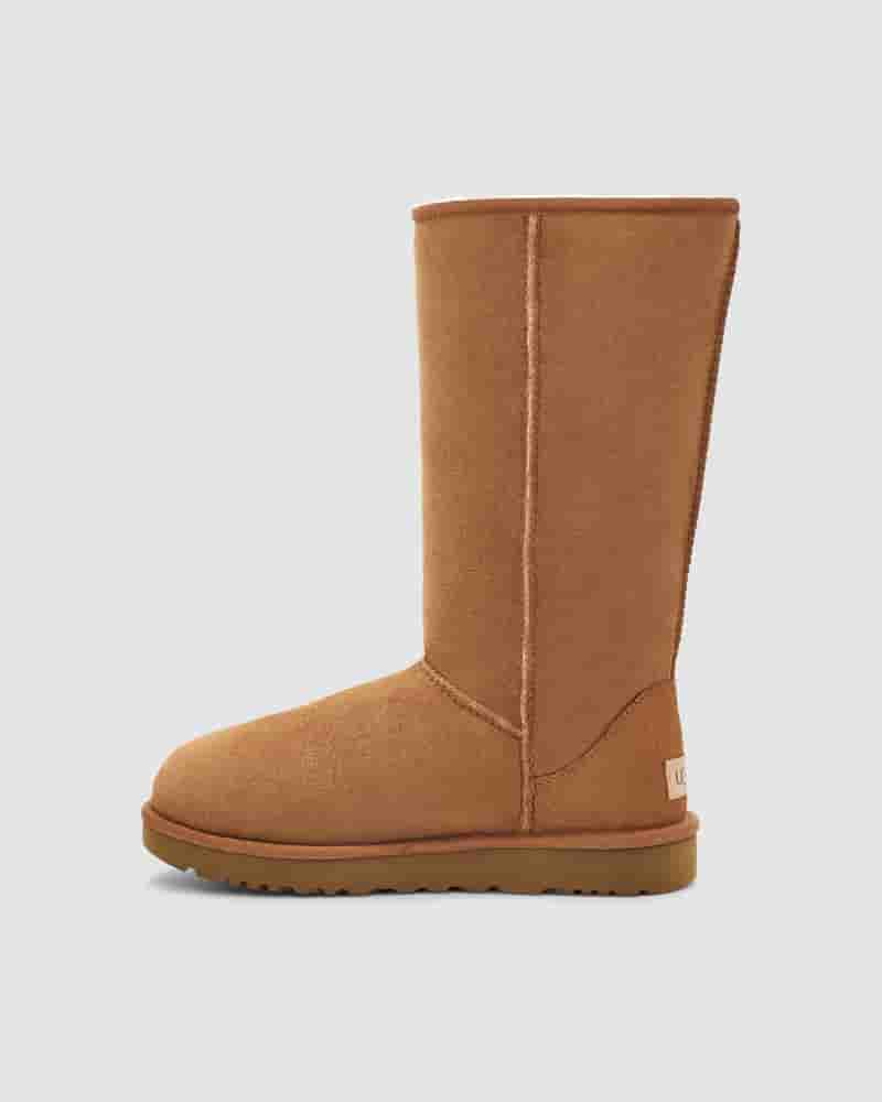 UGG Classic Tall II Boot Dječje Cizme Smeđe | HRN8553W