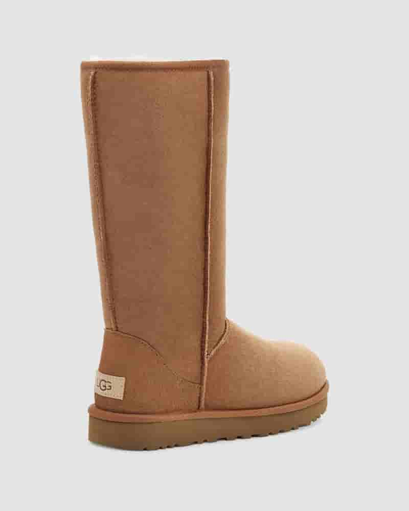 UGG Classic Tall II Boot Dječje Cizme Smeđe | HRN8553W