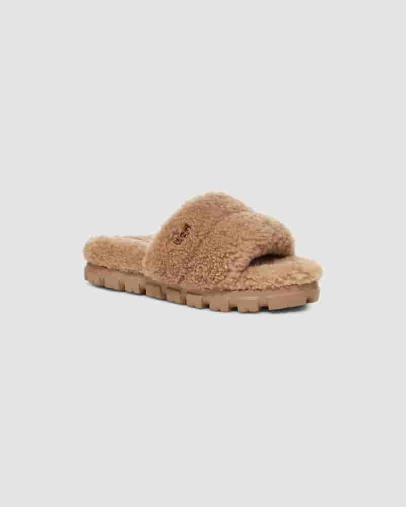 UGG Cozetta Curly Ženske Papuce Smeđe | HRO8641K