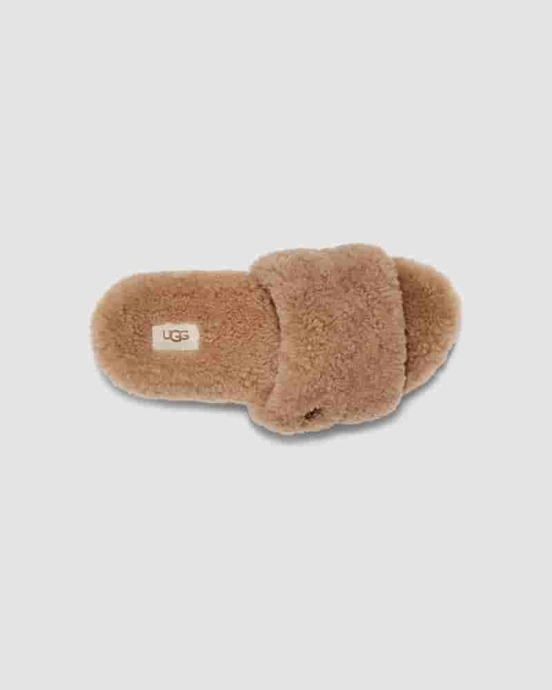 UGG Cozetta Curly Ženske Papuce Smeđe | HRO8641K