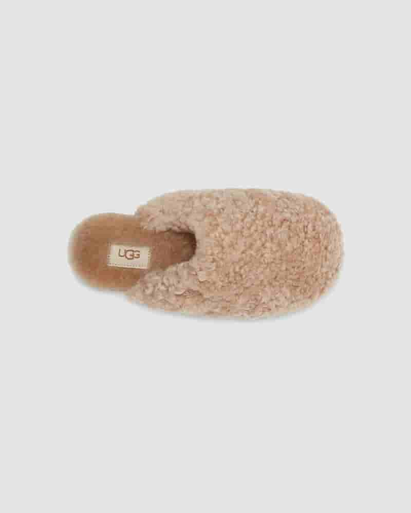 UGG Maxi Curly Slide Dječje Papuce Smeđe | HRI8536L