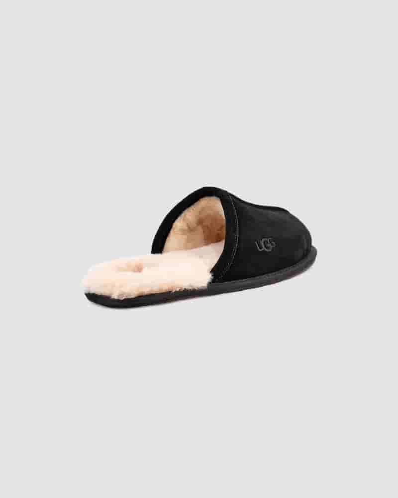 UGG Scuff Muške Papuce Crne | HRR8584V