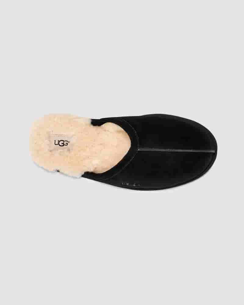 UGG Scuff Muške Papuce Crne | HRR8584V