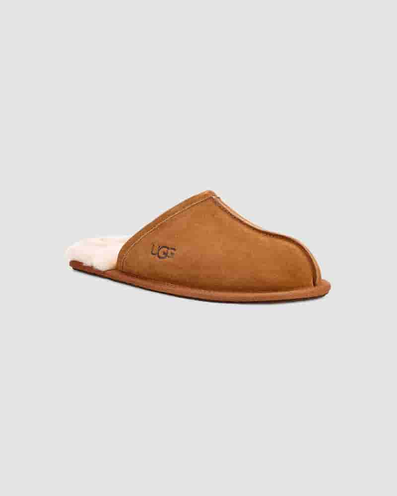 UGG Scuff Muške Papuce Smeđe | HRT8585C