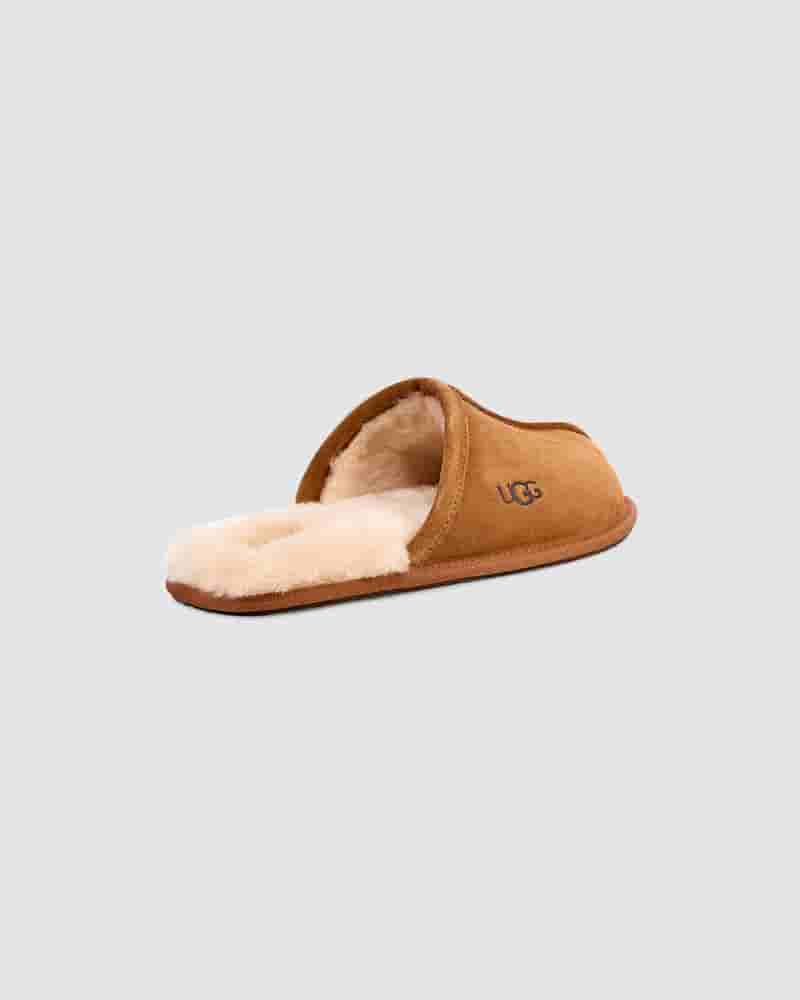 UGG Scuff Muške Papuce Smeđe | HRT8585C