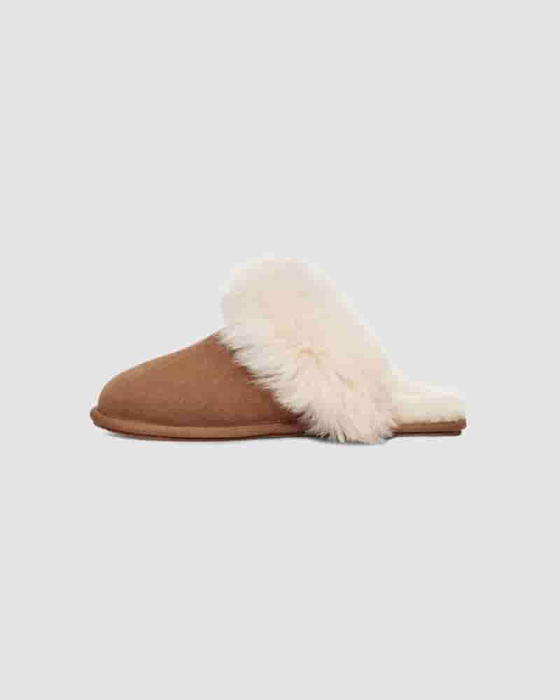 UGG Scuff Sis Ženske Papuce Smeđe | HRL8651I