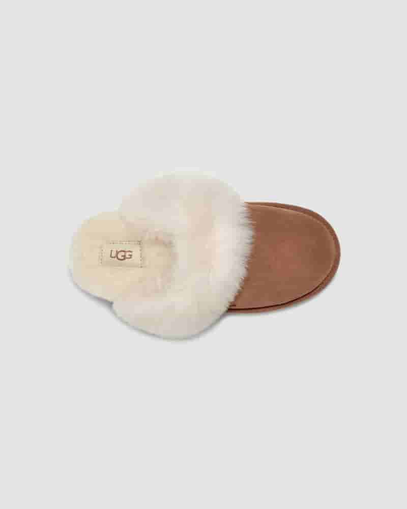 UGG Scuff Sis Ženske Papuce Smeđe | HRL8651I