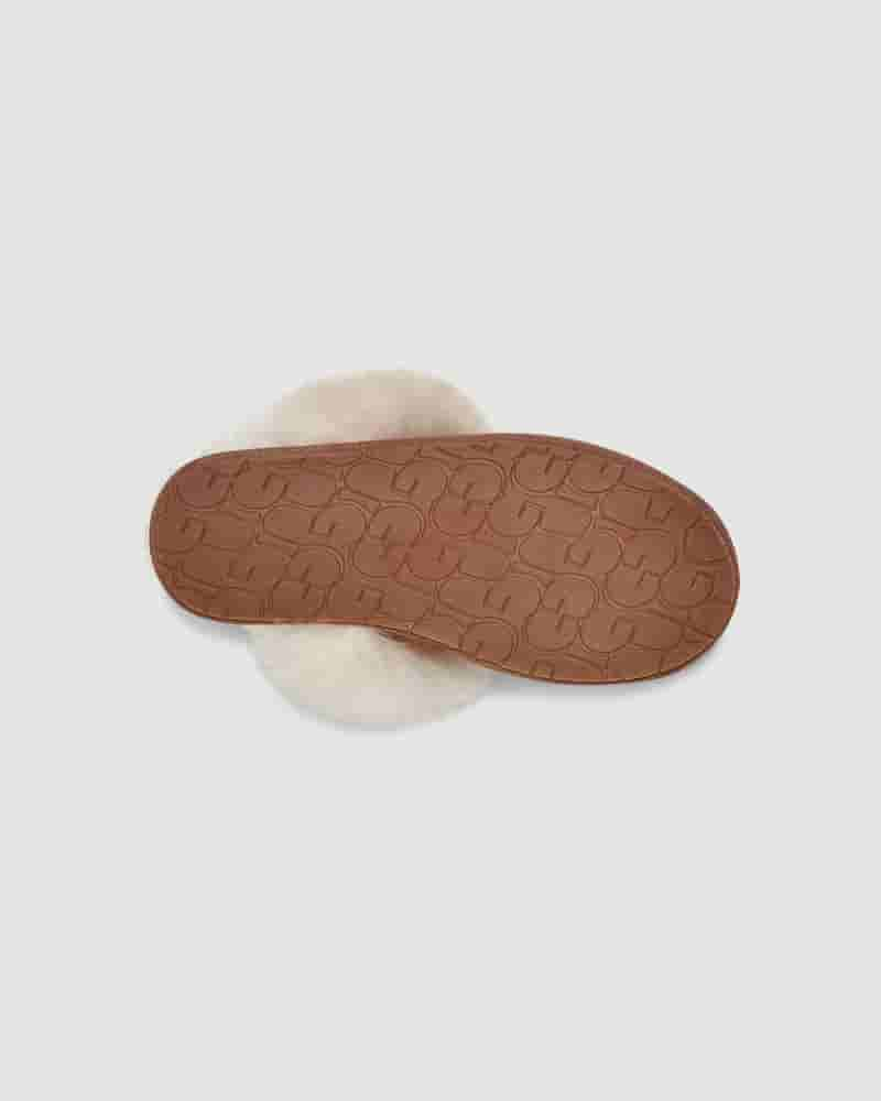 UGG Scuff Sis Ženske Papuce Smeđe | HRL8651I