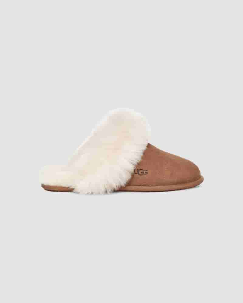 UGG Scuff Sis Ženske Papuce Smeđe | HRL8651I