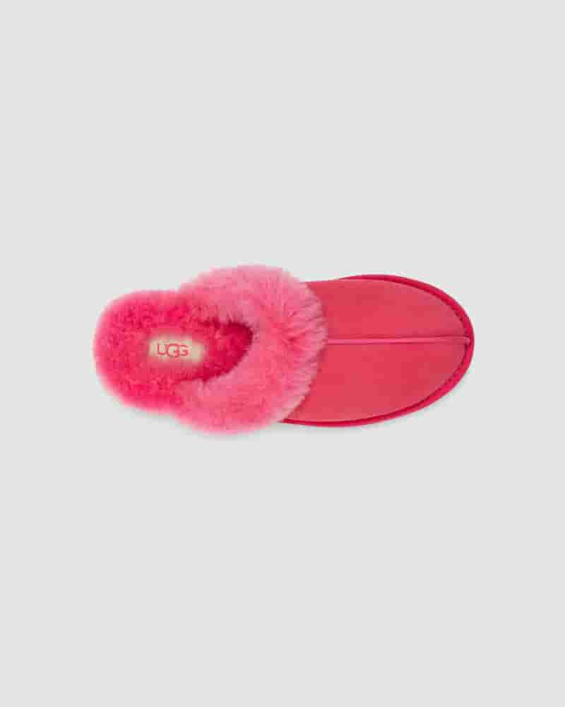 UGG Scuffette II Dječje Papuce Roze | HRY8534X