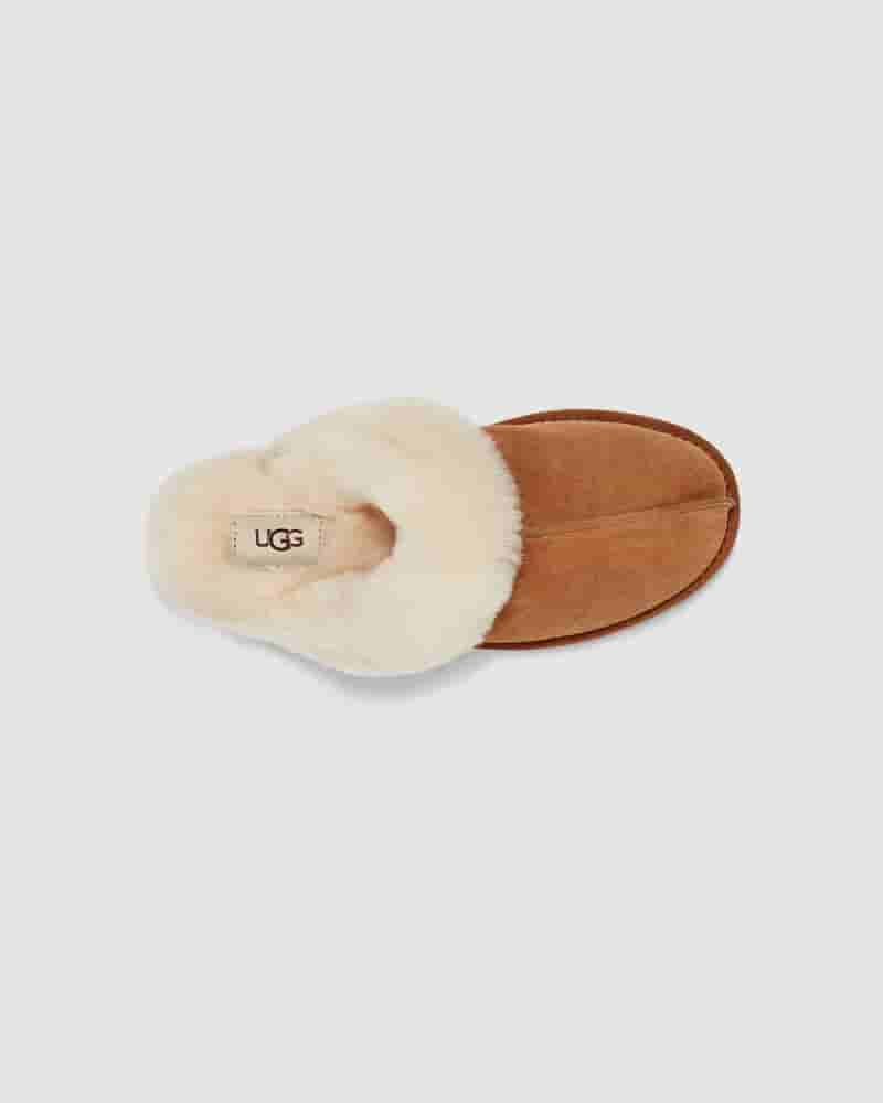 UGG Scuffette II Dječje Papuce Smeđe | HRR8532V