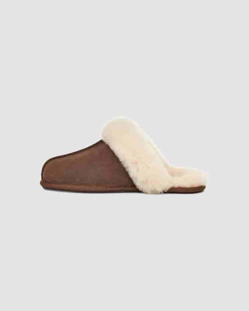 UGG Scuffette II Ženske Papuce Čokoladne | HRV8662R