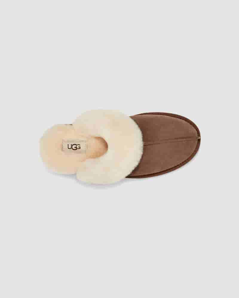 UGG Scuffette II Ženske Papuce Čokoladne | HRV8662R