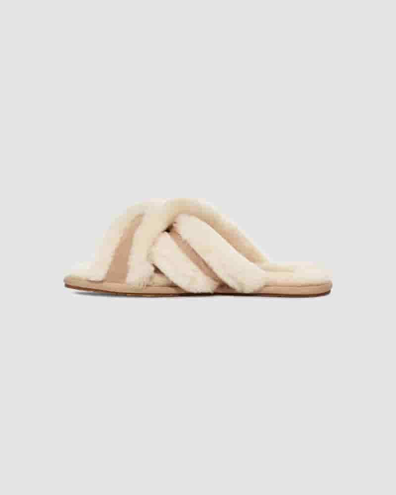 UGG Scuffita Dječje Papuce Smeđe | HRT8524C