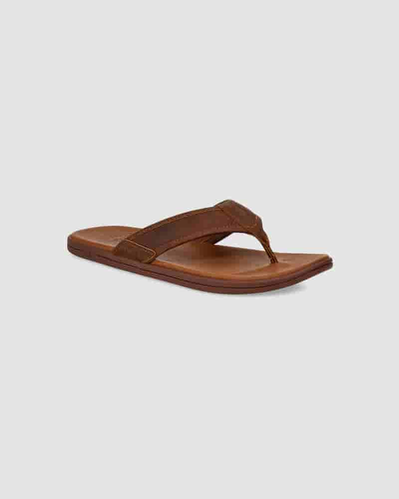 UGG Seaside Leather Flip Flop Muške Sandale Kafe | HRL8599I