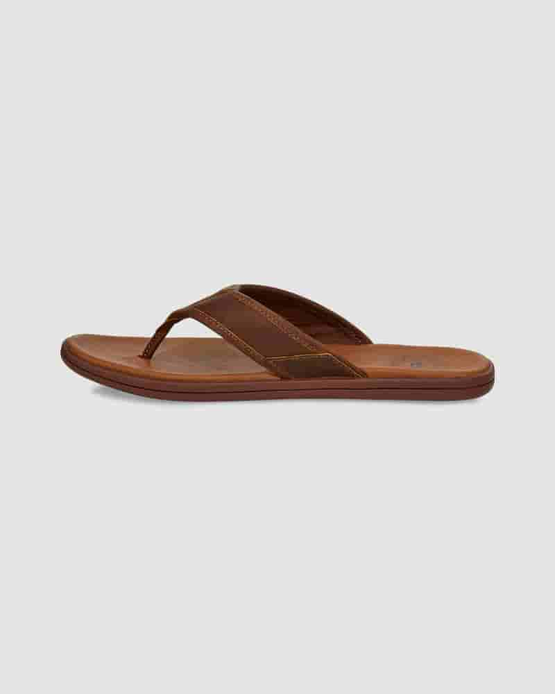 UGG Seaside Leather Flip Flop Muške Sandale Kafe | HRL8599I