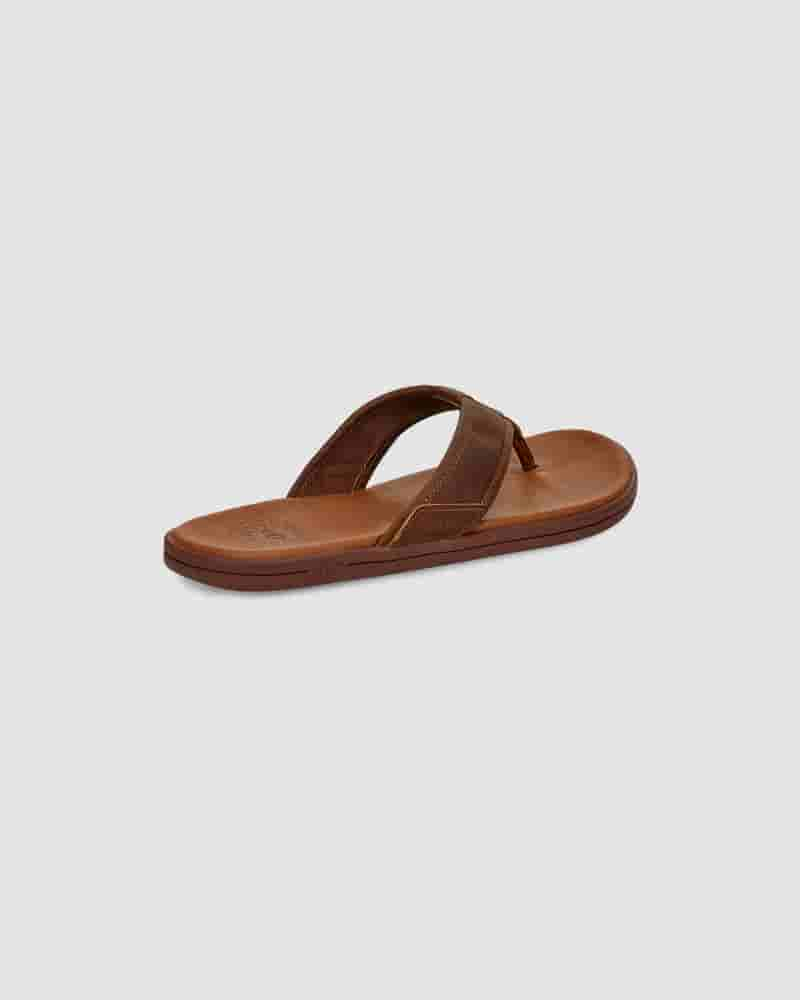 UGG Seaside Leather Flip Flop Muške Sandale Kafe | HRL8599I