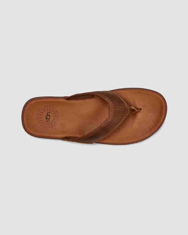 UGG Seaside Leather Flip Flop Muške Sandale Kafe | HRL8599I