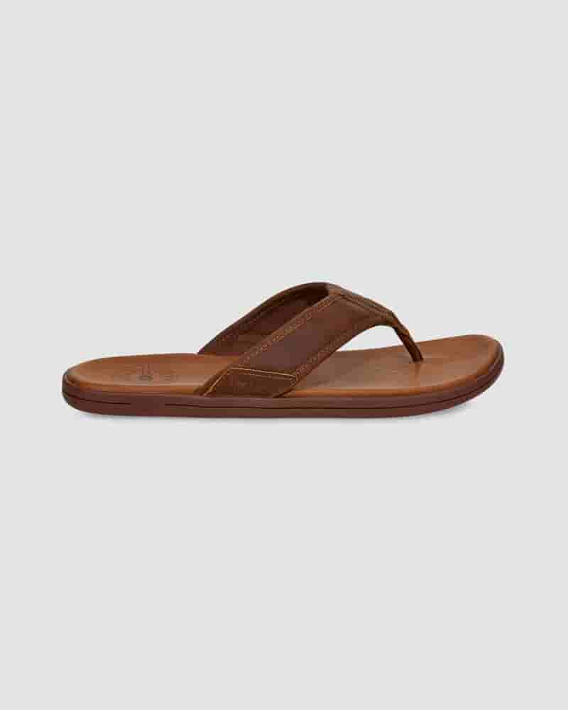 UGG Seaside Leather Flip Flop Muške Sandale Kafe | HRL8599I