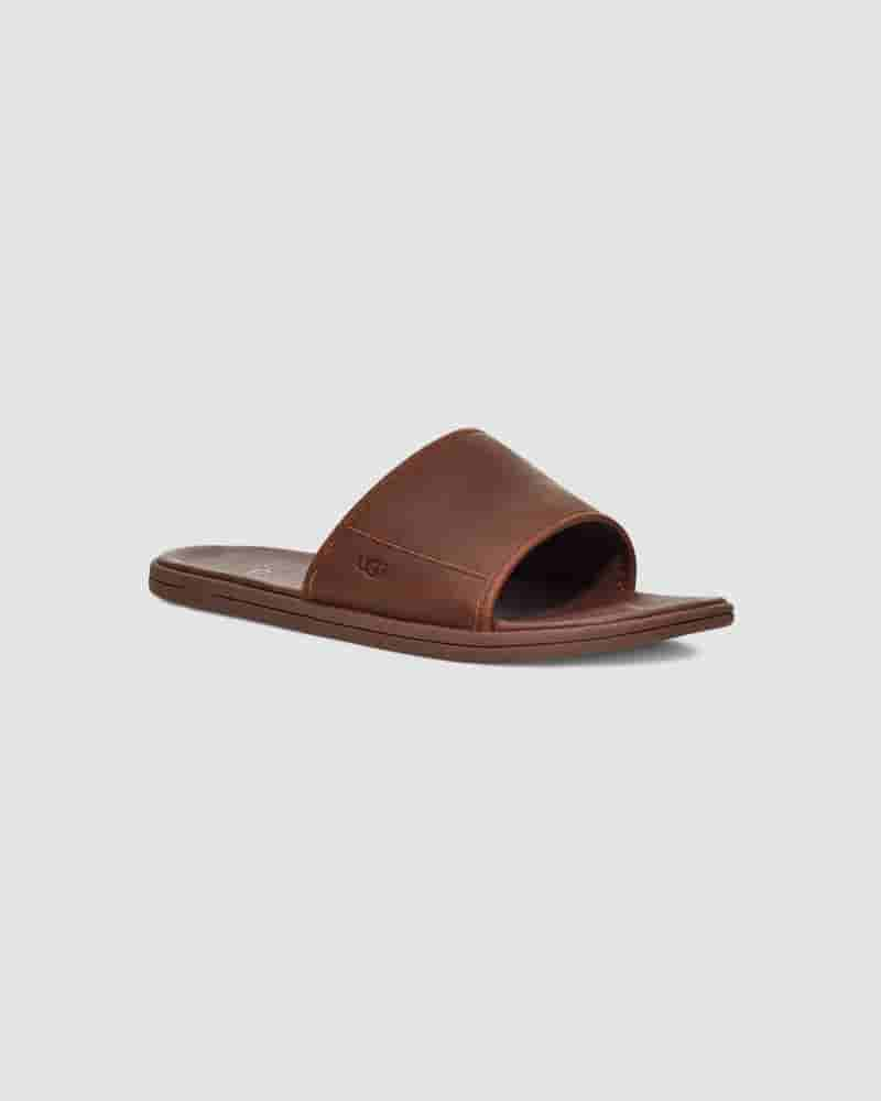 UGG Seaside Slide Muške Sandale Kafe | HRH8596A