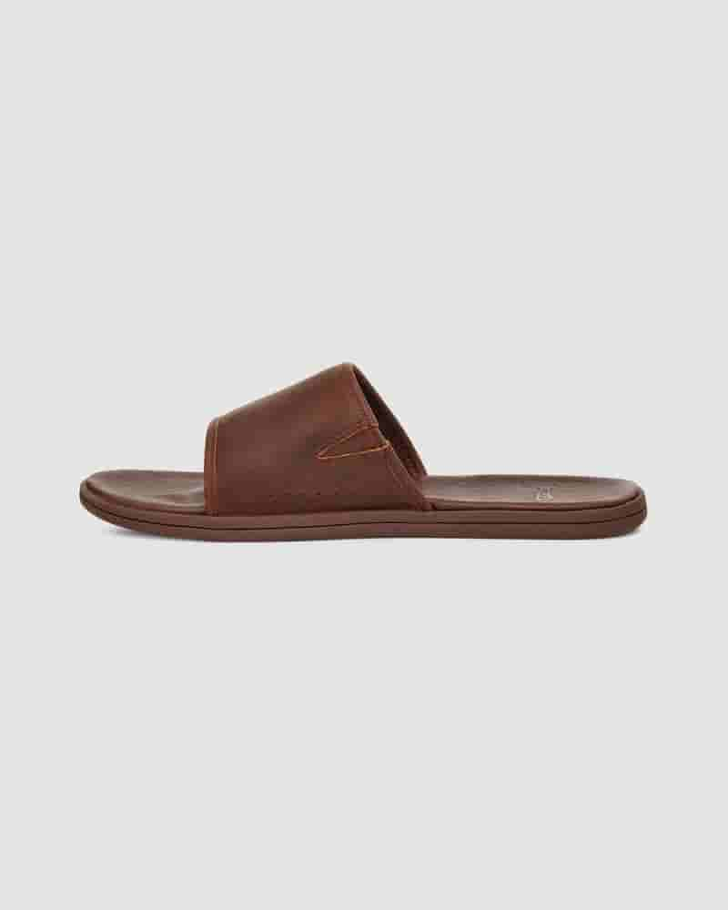 UGG Seaside Slide Muške Sandale Kafe | HRH8596A