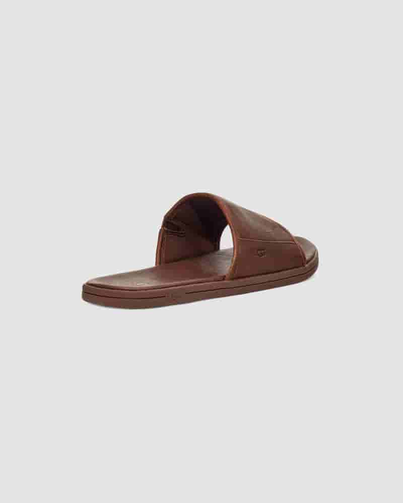 UGG Seaside Slide Muške Sandale Kafe | HRH8596A