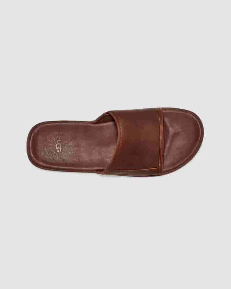 UGG Seaside Slide Muške Sandale Kafe | HRH8596A