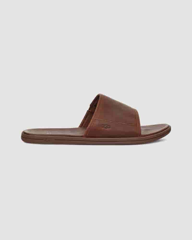 UGG Seaside Slide Muške Sandale Kafe | HRH8596A